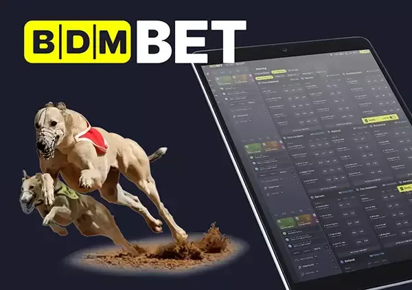 BDMbet stávky